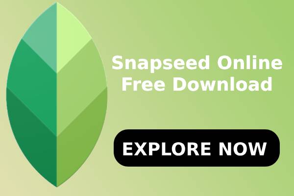 Snapseed Online for PC