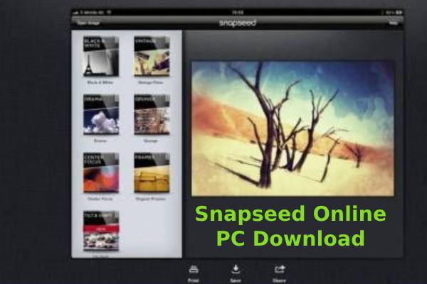 snapseed Photo Editing app